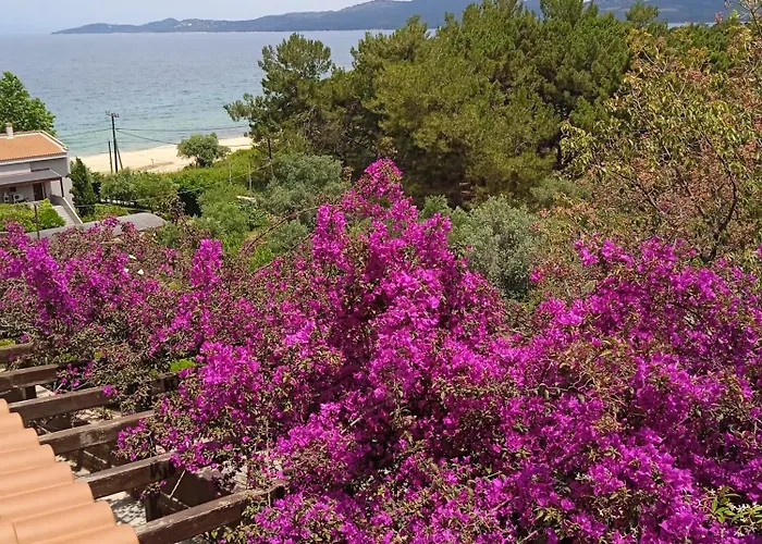 Apartament Butterfly Nea Roda