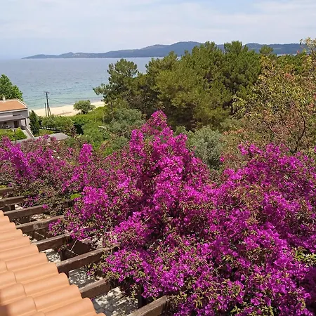 Apartment Butterfly Nea Roda