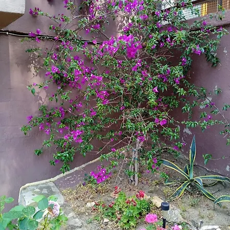 Butterfly Apartment Nea Roda