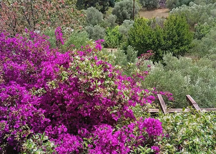 Butterfly Διαμέρισμα